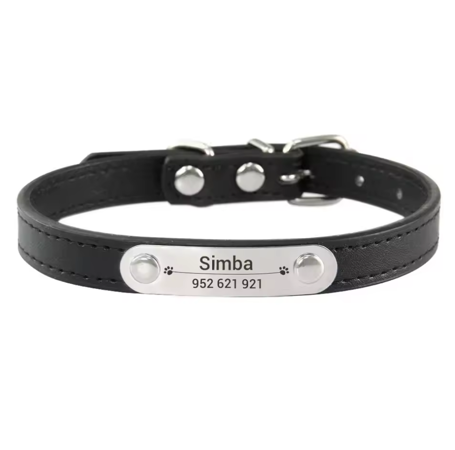 Black dog collar